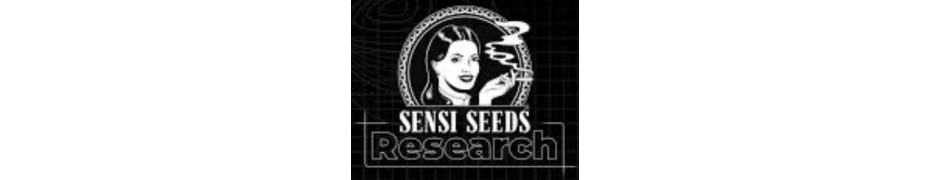 Sensi Seeds Research - Graines de Cannabis de Collection - ROOTS.FR