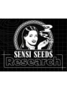 ok Sensi Seeds Research