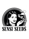ok Sensi Seeds Originals