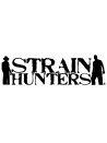 ok Strain Hunters Seeds
