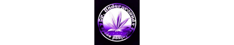 Graine de cannabis Dr.Underground Livraison offerte sur roots-seeds.fr