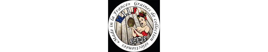 Graines de cannabis Milf seeds Livraison offerte sur roots-seeds.fr