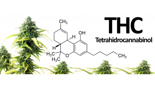 Questions-Réponses THC