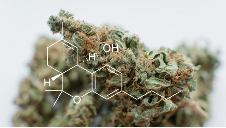 Le THCP : C'est quoi ?