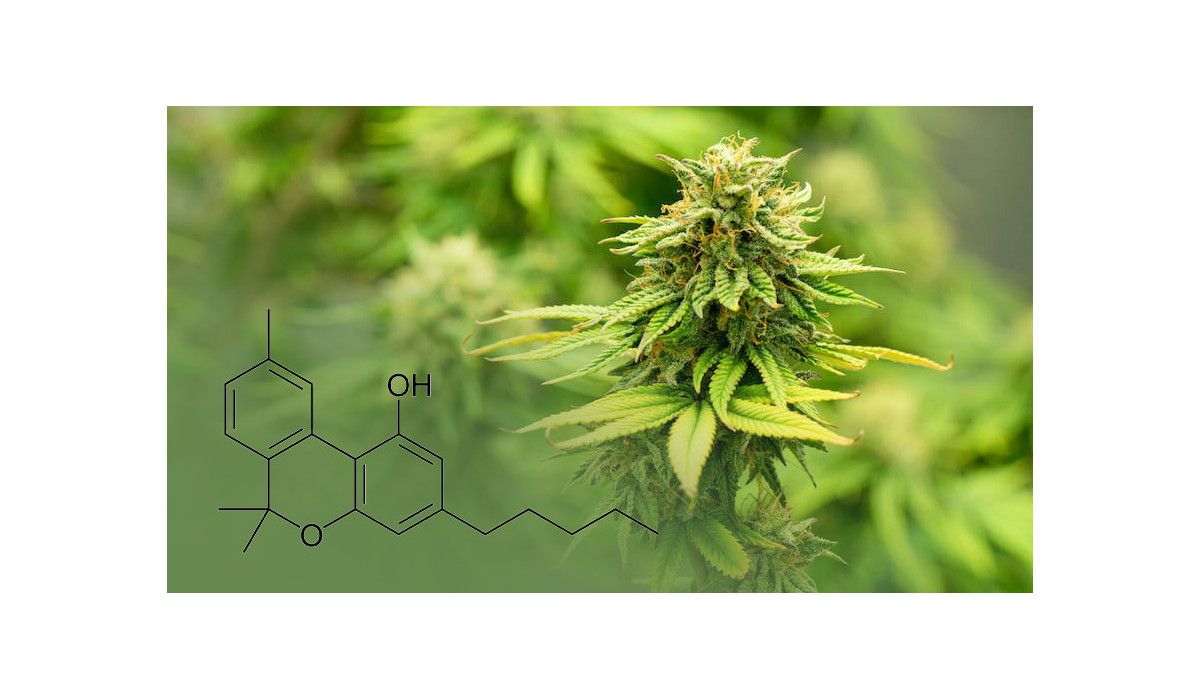 Le CBN : C'est quoi ?