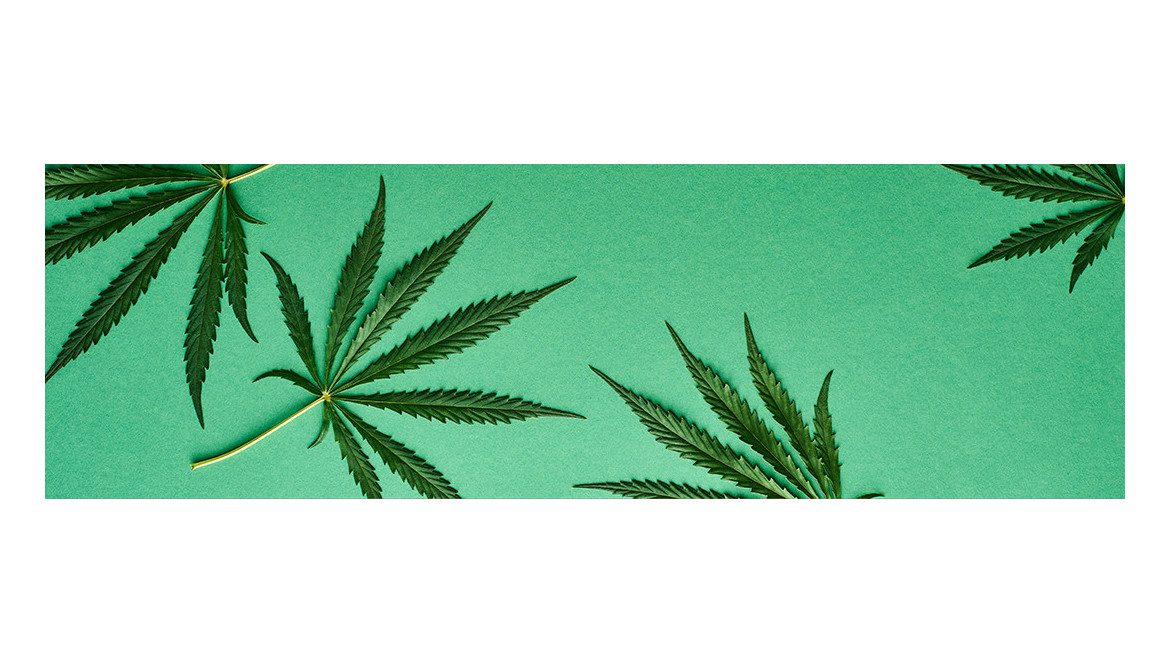 Le rapport entre THC, THCA et CBN