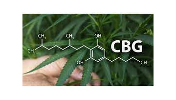 Le CBG : C'est quoi ? Le CBG : C'est quoi ?