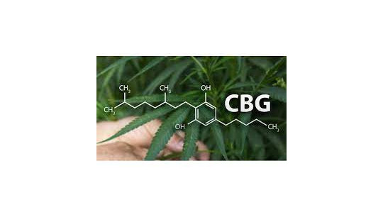 Le CBG : C'est quoi ?