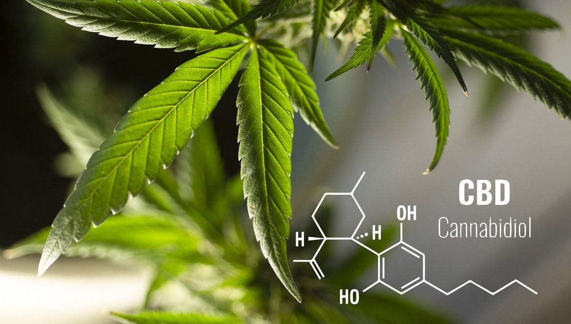 FLEURS CBD