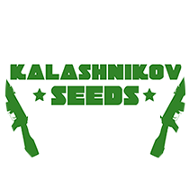 Kalashnikov Seeds