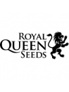 Royal Queen Seeds