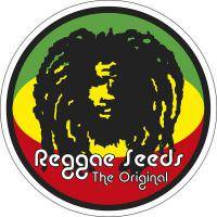 Reggae Seeds