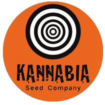 Kannabia