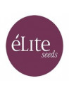 Elite Seeds