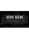 Sensi Seeds Research