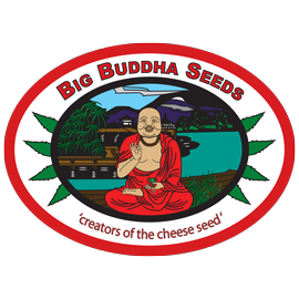 Big Buddha