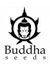 Buddha Seeds