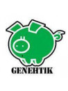 Genehtik