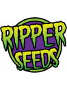 Ripper Seeds