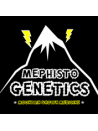 Mephisto Genetics