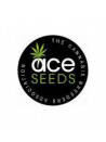 Ace Seeds