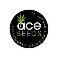 Ace Seeds