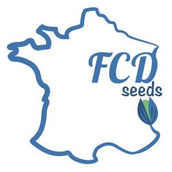 FCD Seeds