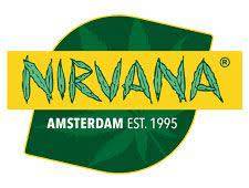 Nirvana Seeds
