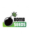 Bomb Seeds