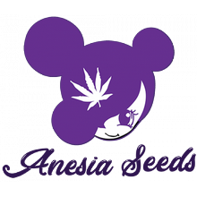 Anesia Seeds
