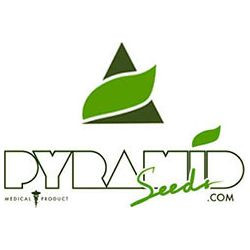 Pyramid Seeds