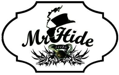 Mr Hide