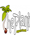 the plant organic seeds