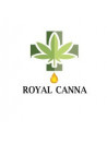 Royal Canna